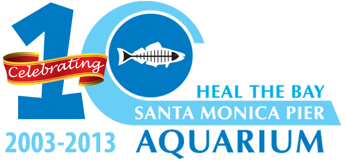 aquarium logo