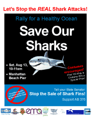 Rally to Save Our Sharks Flyer 185x239