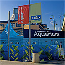 Heal the Bay, Santa Monica Pier Aquarium