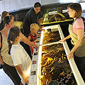 Volunteer at the Santa Monica Pier Aquarium