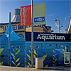 Santa Monica Pacific Aquarium