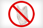 Ban the Bag