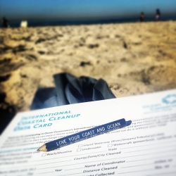 Jackie Carr Instagram photo winner CCD2012 beach coastal cleanupday