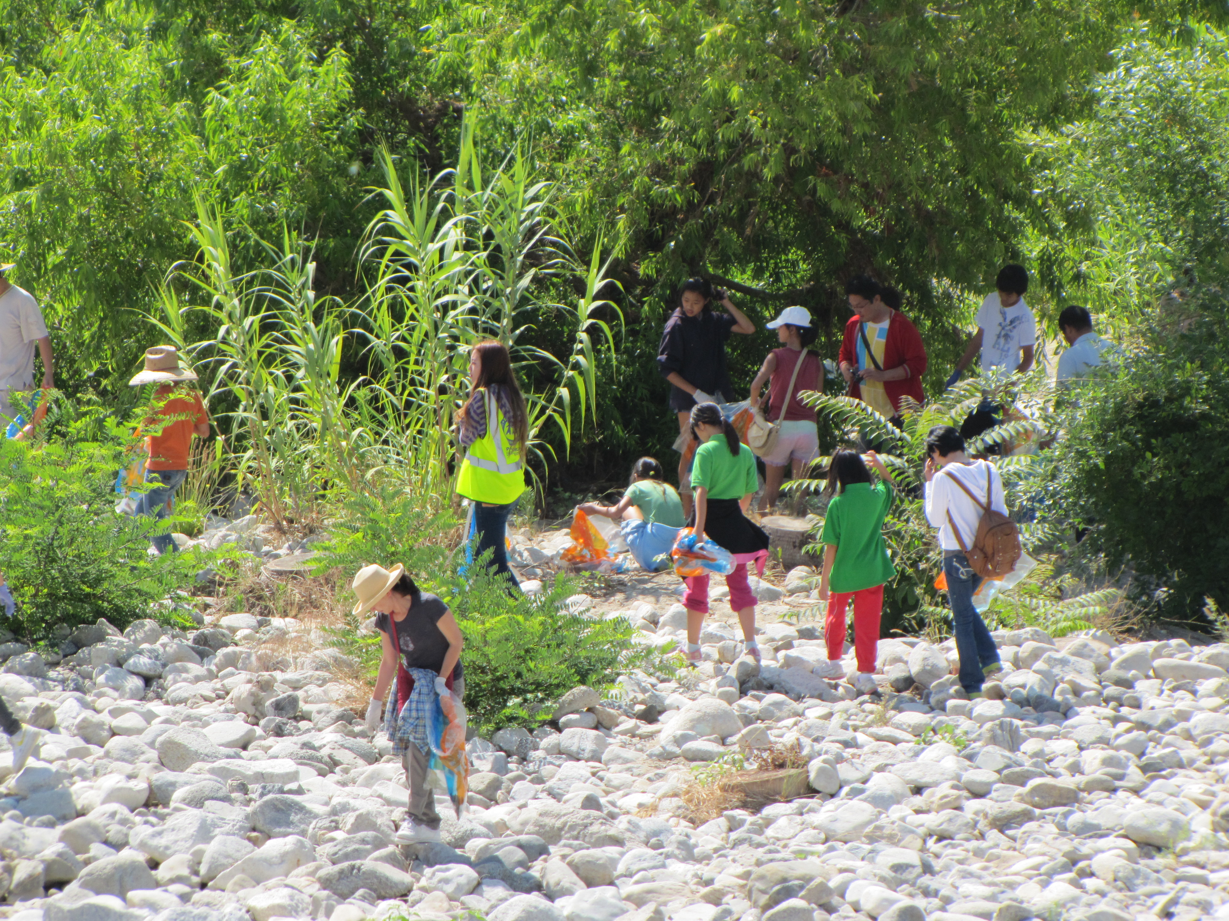 Los Angeles River Cleanup PAVA