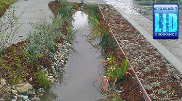 Elmer Street swale