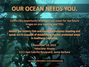 MPA Meeting Flyer