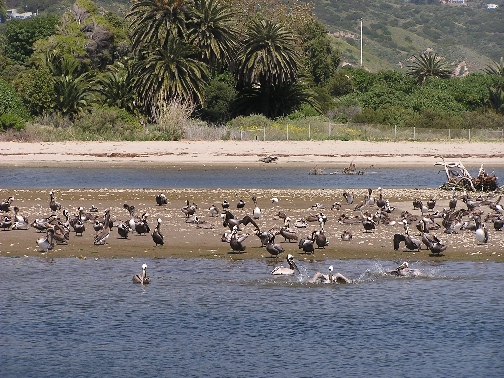 Malibu Lagoon