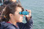 Whale watching from the Santa Monica Pier