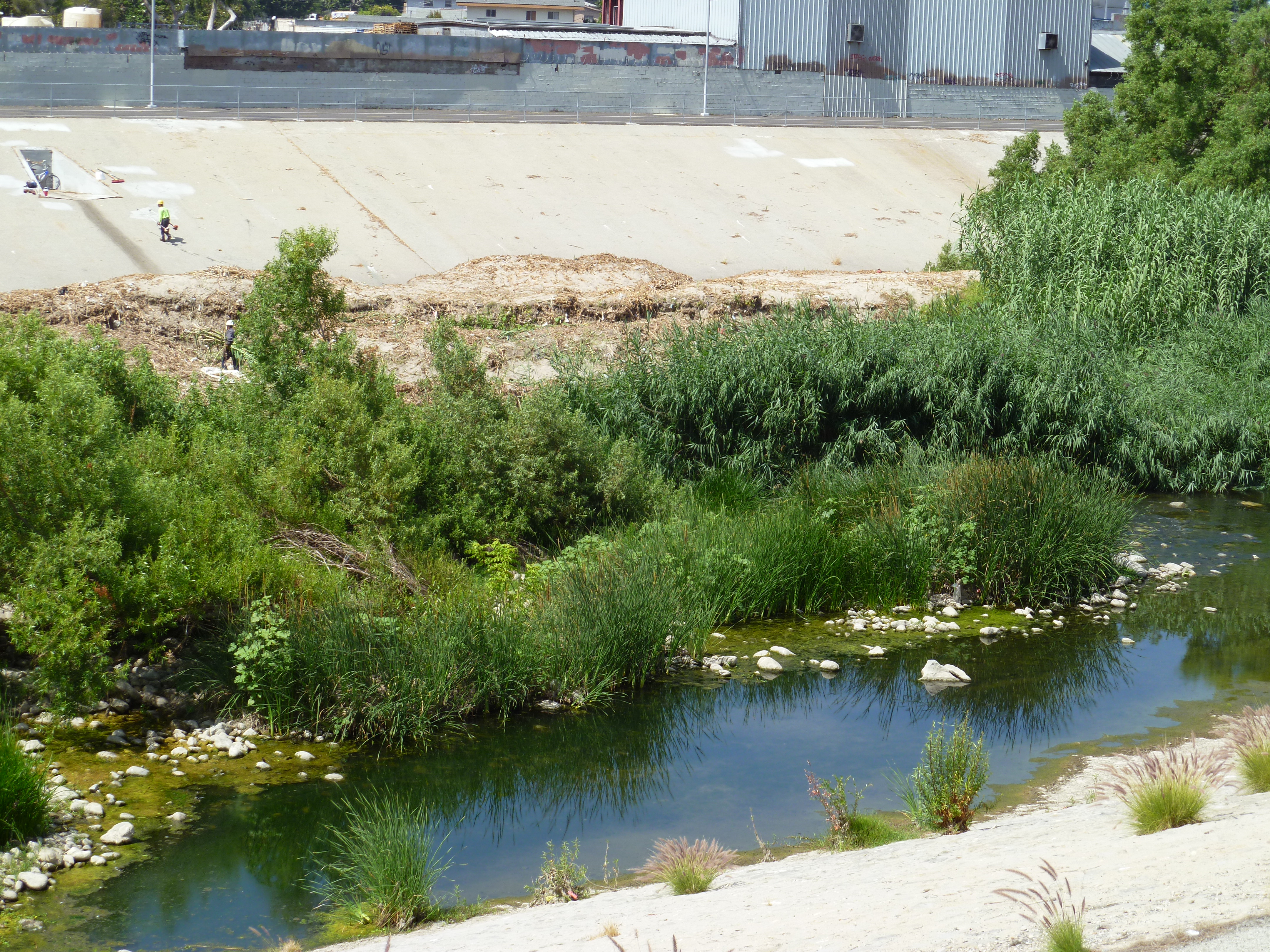 L.A. river cleanup rio de los angeles pava heal the bay