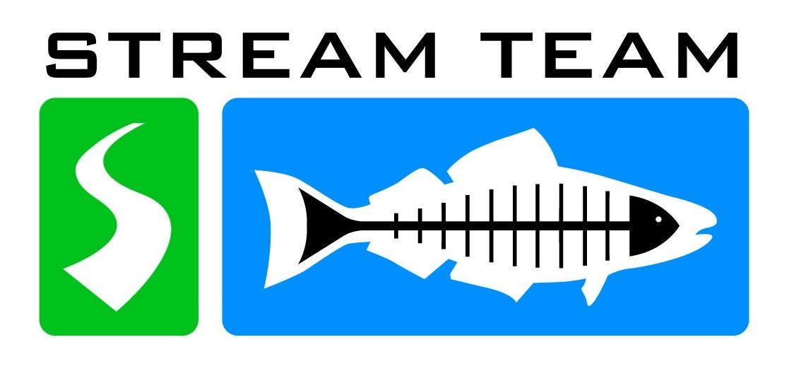 Stream Team logo