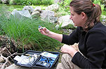 Stream Team Volunteer Training