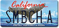Whale Tail License Plate