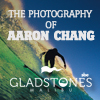 Third Party: Gladstones Aaron Chang Benefit 100x100