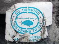 Storm Drain Sign