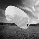 Action Alert - Bag Single-Use Plastic Bags from the City of L.A.