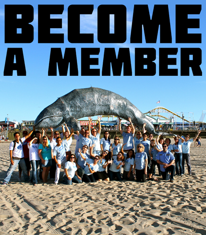 Become a Member