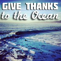 Give Thanks to the Ocean Heal the Bay