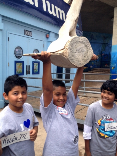 child holds up a whale vertebrate at the Santa Monica Pier Aquarium