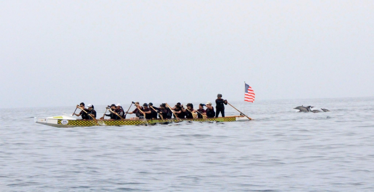 AeroDragons dragon boat team encounters dolphins during historic Catalina Channel Crossing