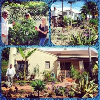 Reza Iranpour's Rain Garden!