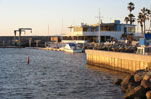 King Harbor Yacht Volunteer Dockwalker