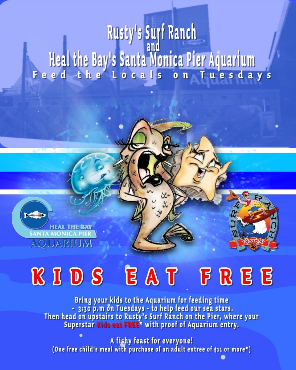 Santa Monica Pier Aquarium: Feed the Locals