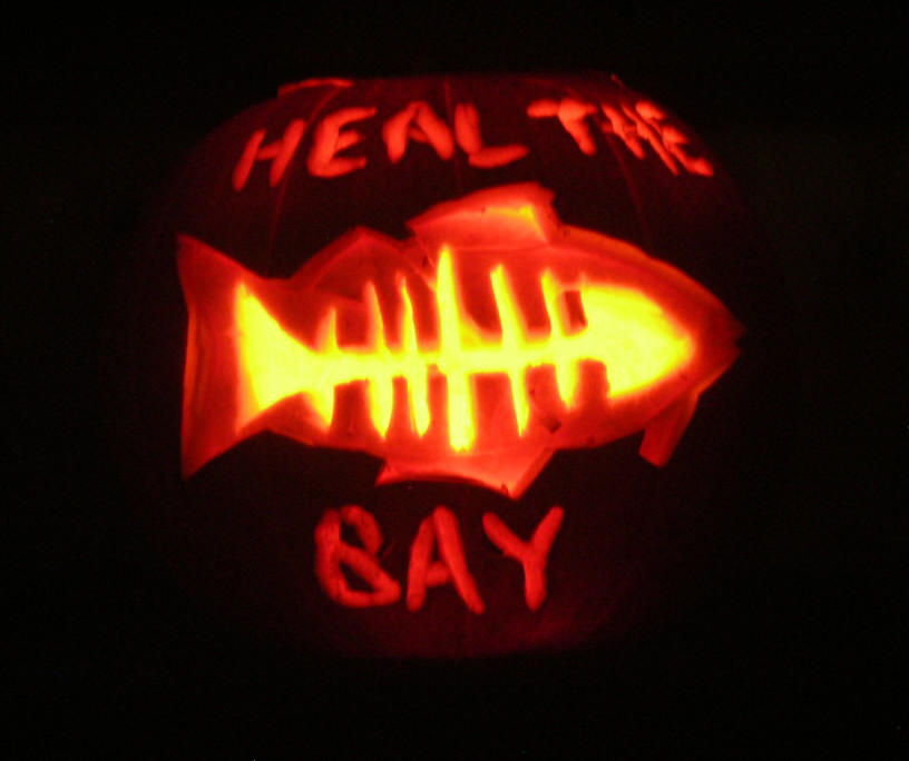 Heal the Bay Pumpkin