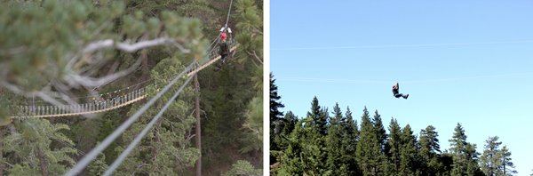 Navitat Zipline Canopy Tour