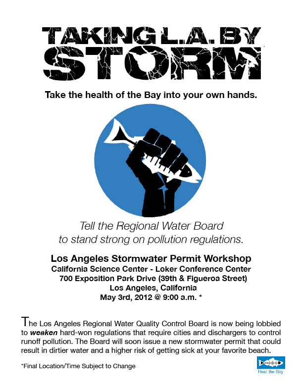 Taking L.A. By Storm Campaign Flyer