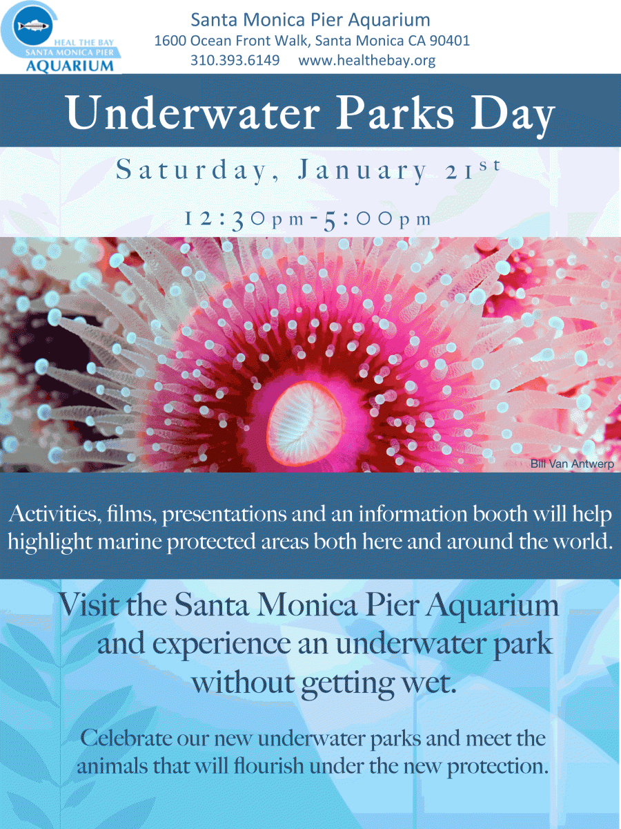 Underwater Parks Day Flyer