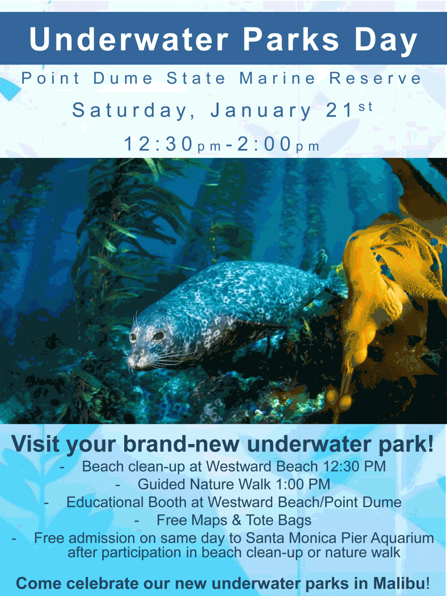 Underwater Parks Day - Malibu (Flyer)