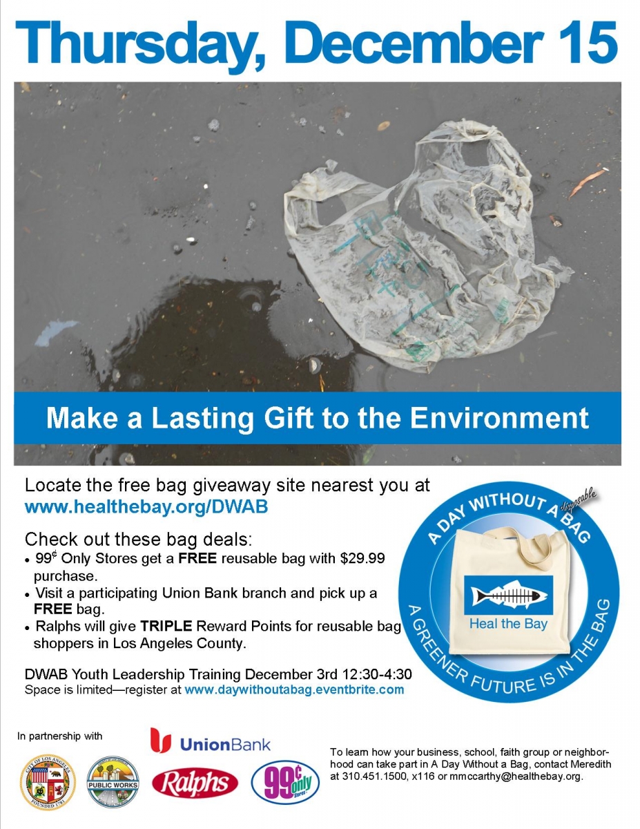 A Day Without a Bag flyer