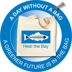 A Day Without a Bag