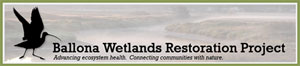 Ballona Wetlands Restoration Project