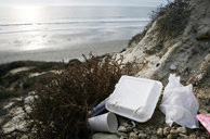 Hermosa Beach polystyrene ban