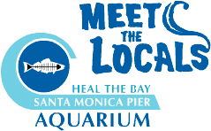 Santa Monica Pier Aquarium