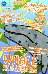 Whale of a Weekend