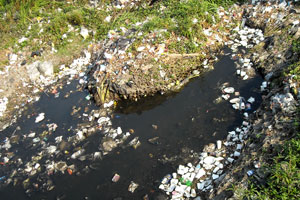 Compton Creek