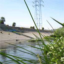 Revitalize the LA River