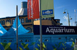 Santa Monica Pier Aquarium Holiday Closures