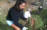 Malibu Stream Team Restoration Cleanup Environment California Water Safety