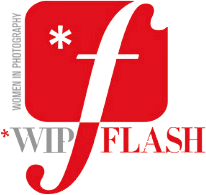 WIP Flash Logo Third Party Event