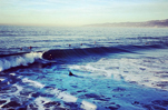 giving tuesday charity thanks thanksgiving heal the bay santa monica heart give