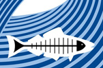 Heal the Bay Surfrider club