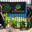 Compton, Ian Somerhalder, Big Sunday, cleanup, Earth Day