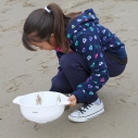 beach field trip Valor Academy Arleta Duke's Malibu science education