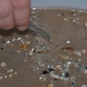 Photo Credit: Sea Education Association, plastic pollution, marine debris,