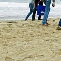 Will Rogers State Beach cleanup beach kids trash November 17 Saturday