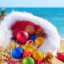 Year End Gift Holiday Donation to Heal the Bay