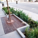 Clean Water Clean Beach Green Street Hope St. Downtown Los Angeles TheGoodStreet